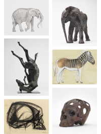 Nature Decoded: Jonathan Kingdon at Ninety