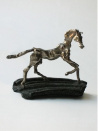 Fossil Horse by Deborah van der Beek