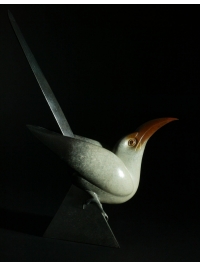 Hornbill by Geoffrey Dashwood