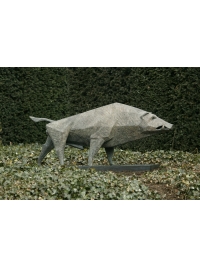 Boar II by Terence Coventry