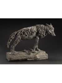 Wolf : Endangered Species by Deborah van der Beek