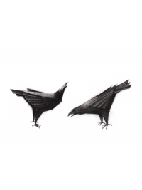 Ravens by Terence Coventry