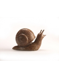 Optimistic Snail by Anita Mandl