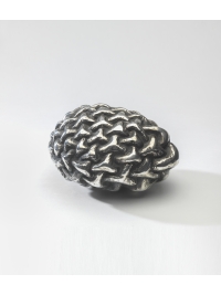 Little Nut Tree Seed by Peter Randall-Page