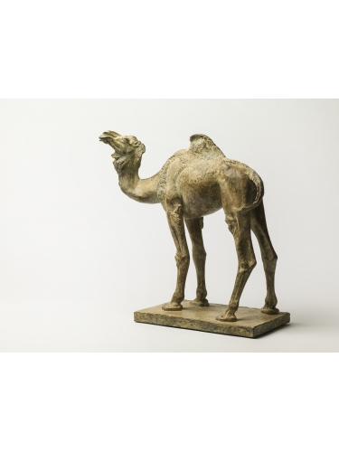 Camel Maquette