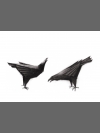 Ravens by Terence Coventry
