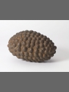 Ironed Out II by Peter Randall-Page