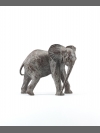 Baby Elephant by Jonathan Kingdon
