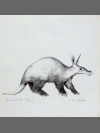 Aardvark by Jonathan Kingdon
